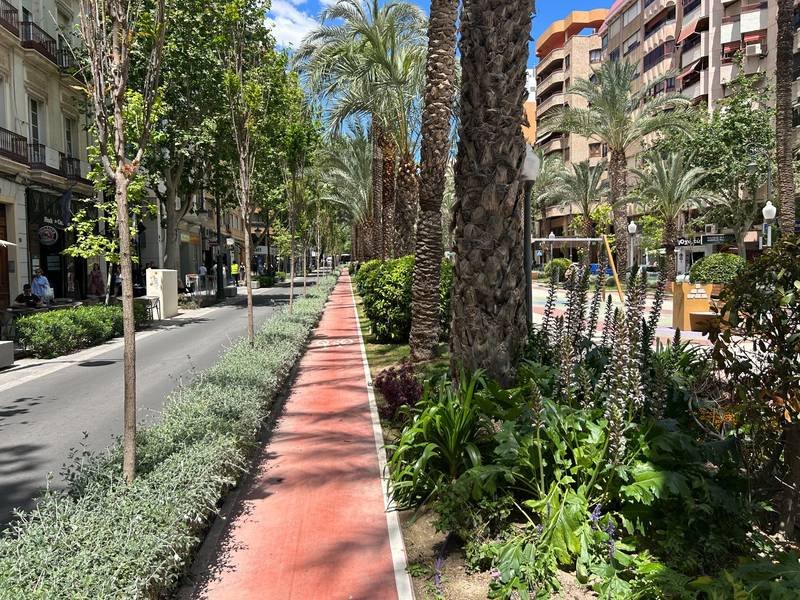MEJORA PEATONAL CALMADO DE TRÁFICO EN EL EJE PARQUE CANALEJAS HASTA ESCALERAS DEL IES JORGE JUAN EN ALICANTE